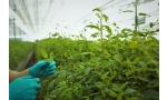 Green Jobs: Inovasi Bisnis yang Menguntungkan Serta Ramah Lingkungan